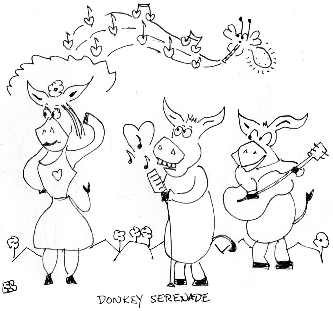Donkey Serenade